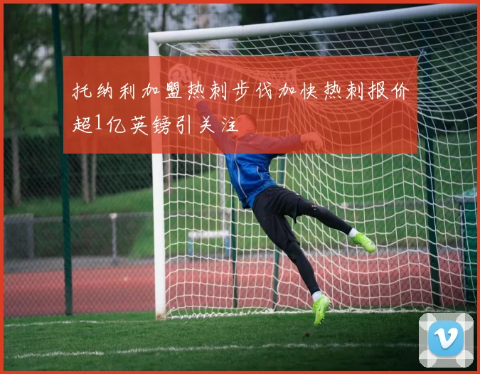 托纳利加盟热刺步伐加快热刺报价超1亿英镑引关注